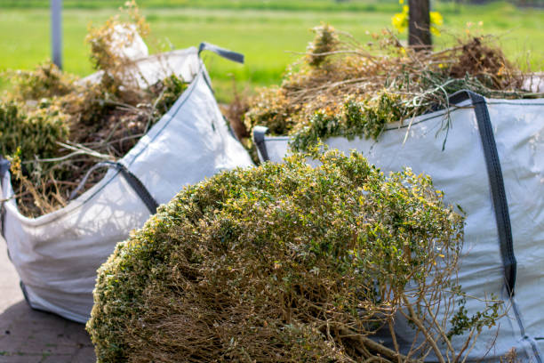 Best Carpet Removal and Disposal  in Belleview, FL